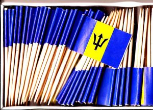 Barbados Flag Toothpicks