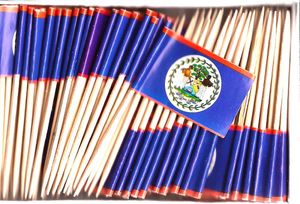 Belize Flag Toothpicks