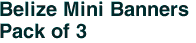 Belize Mini Banners <br>Pack of 3