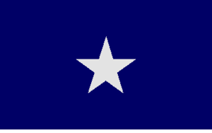 Bonnie Blue Flag
