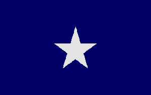 Bonnie Blue Flag