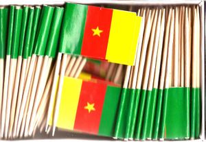 Cameroon Flag Toothpicks