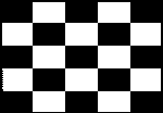 Checkered Racing Flag - Black & White