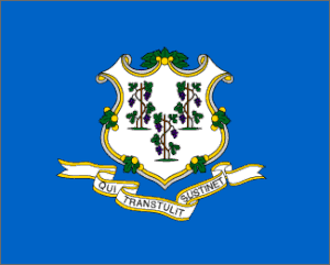 Connecticut Polyester Flag