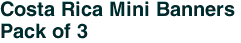 Costa Rica Mini Banners <br>Pack of 3
