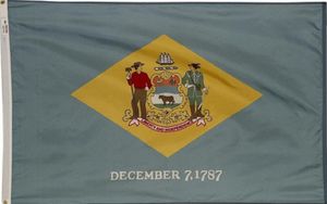 Delaware Polyester Flag