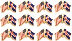 Wholesale Friendship Flag Lapel Pins Only $10 Per Dozen