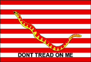 First Navy Jack