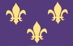 Fleur De Lis Blue & Gold
