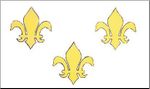 Fleur De Lis White & Gold