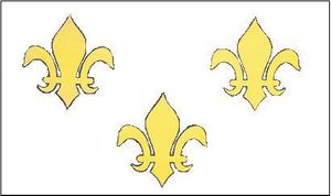 Fluer Di Lis Flag ( White 3)