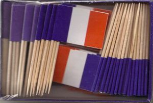 France Flag Toothpicks