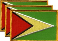 Guyana Flag Patch<br>Pack of 3