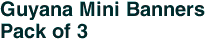 Guyana Mini Banners <br>Pack of 3