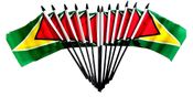 Guyana Miniature Flags - 12 Pack