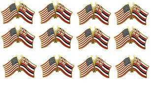 Hawaii Friendship Pack of 12