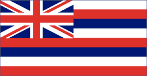 Hawaii Polyester Flag