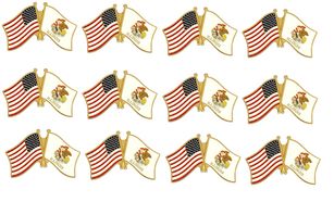 Illinois Friendship Pack of 12