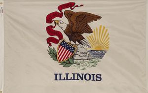 Illinois Polyester Flag