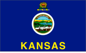 Kansas Nylon Flag