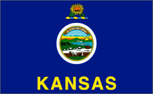 Kansas Polyester Flag