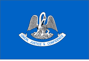 Louisiana Nylon Flag