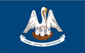 Louisiana Polyester Flag