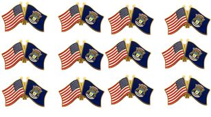 Michigan Friendship Pack of 12