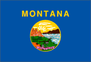 Montana Polyester Flag