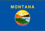 Montana Polyester Flag