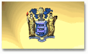 New Jersey Nylon Flag