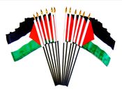 Palestine Miniature Flags - 12 Pack 