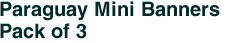 Paraguay Mini Banners <br>Pack of 3