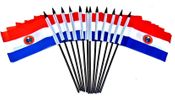 Paraguay Miniature Flags - 12 Pack