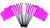 Pink Miniature Flags - 12 Pack