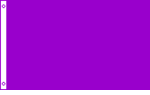 Purple Solid Color Flag