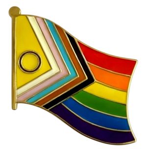 Rainbow Progress Pride Pack of 12