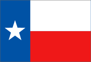 Texas Nylon Flag