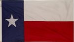 Texas Polyester Flag