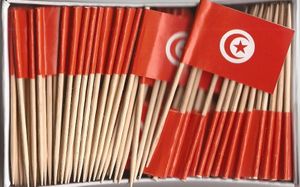Tunisia Flag Toothpicks