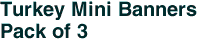 Turkey Mini Banners <br>Pack of 3