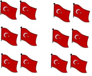 Turkey Pack of 12