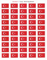 Turkey Sheet of 50 Stickers