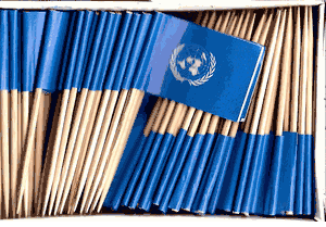 United Nations Flag Toothpicks