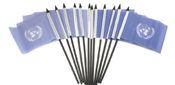 United Nations Miniature Flags - 12 Pack
