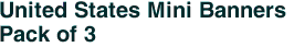 United States Mini Banners <br>Pack of 3