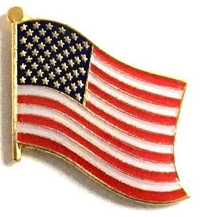 United States Single Wavy Pin<br> Pack of 12