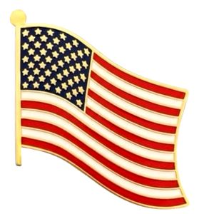 United States Single Wavy Pin<br> Pack of 12