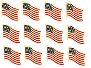 United States Single Wavy Pin<br> Pack of 12