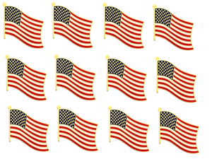 United States Single Wavy Pin<br> Pack of 12